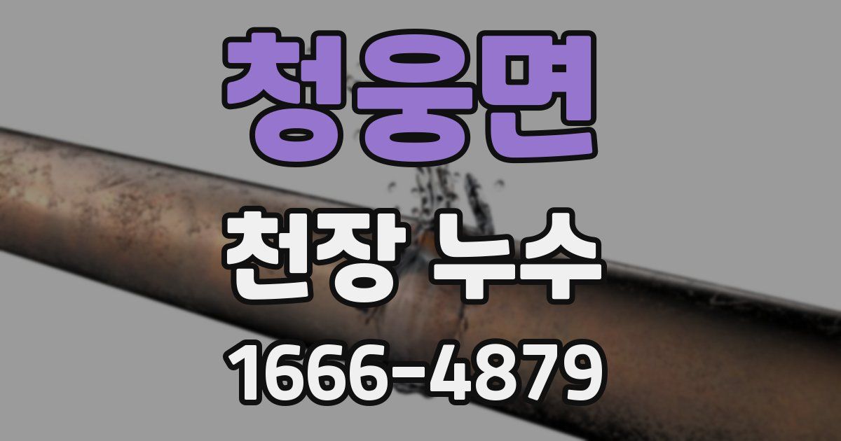 청웅면 천장 누수