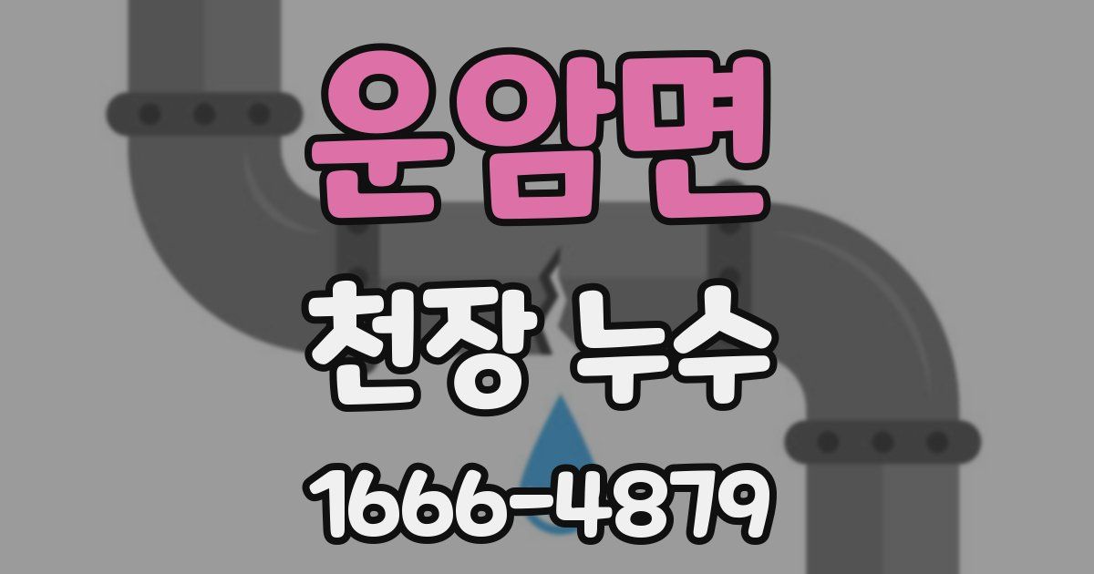 운암면 천장 누수