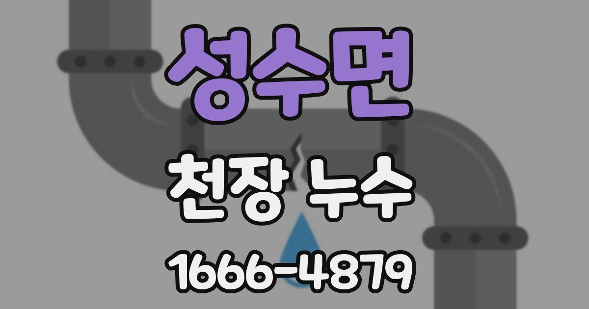 성수면 천장 누수