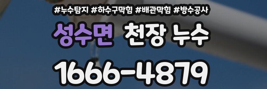 성수면 천장 누수