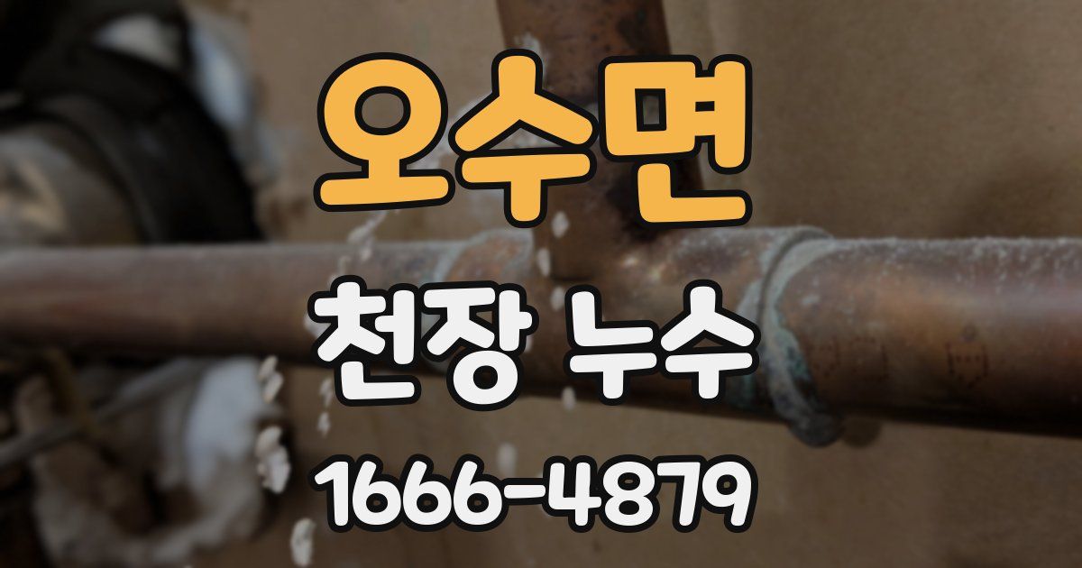 오수면 천장 누수