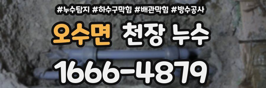 오수면 천장 누수