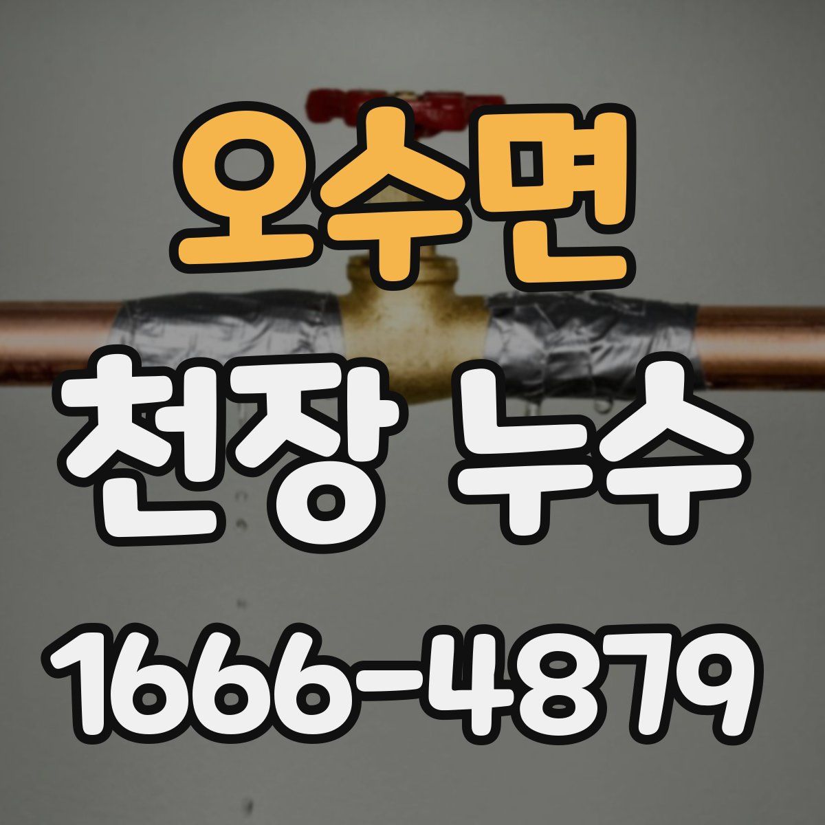 오수면 천장 누수