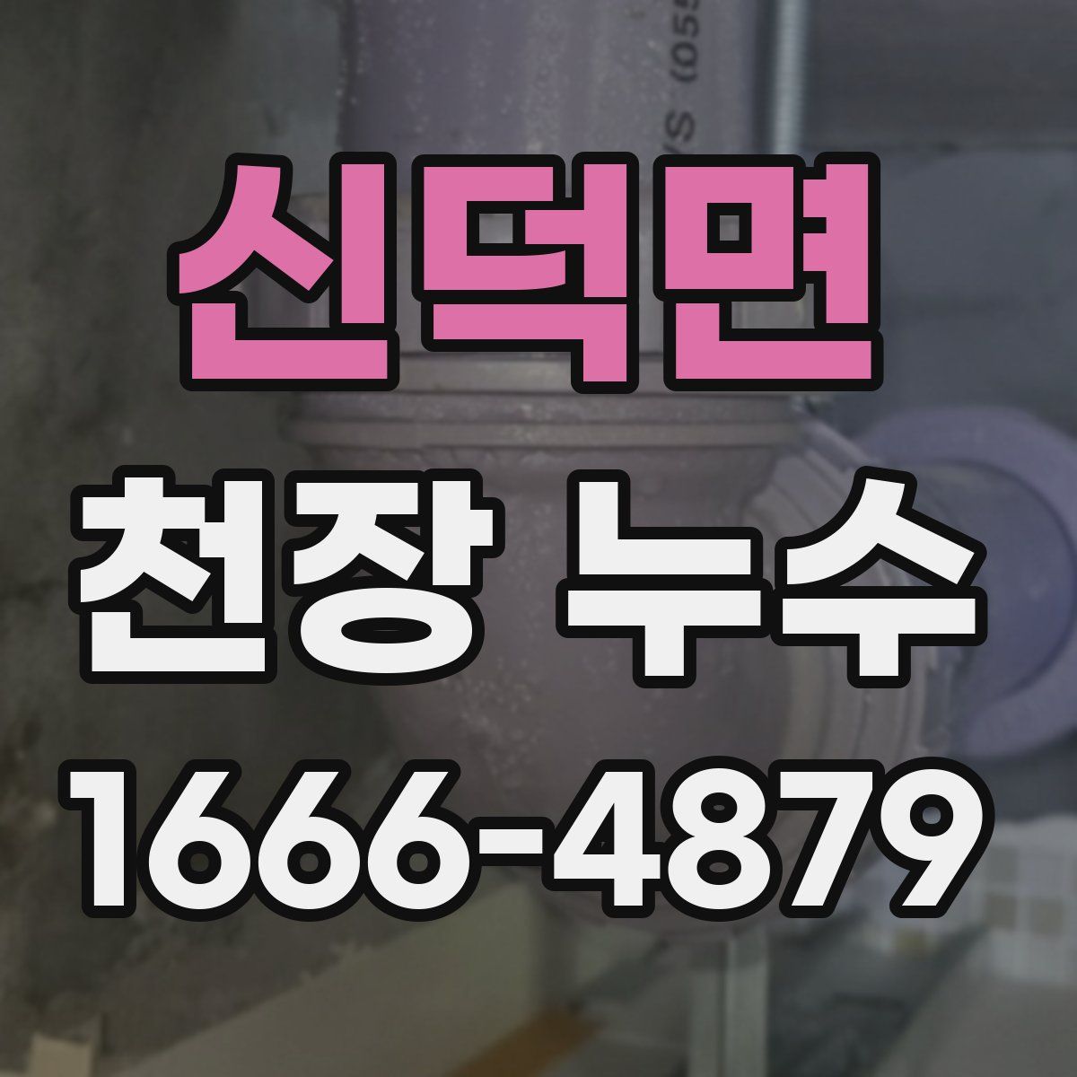신덕면 천장 누수