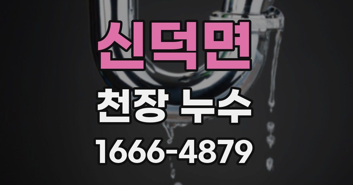 신덕면 천장 누수
