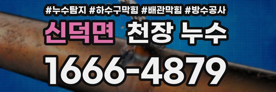 신덕면 천장 누수