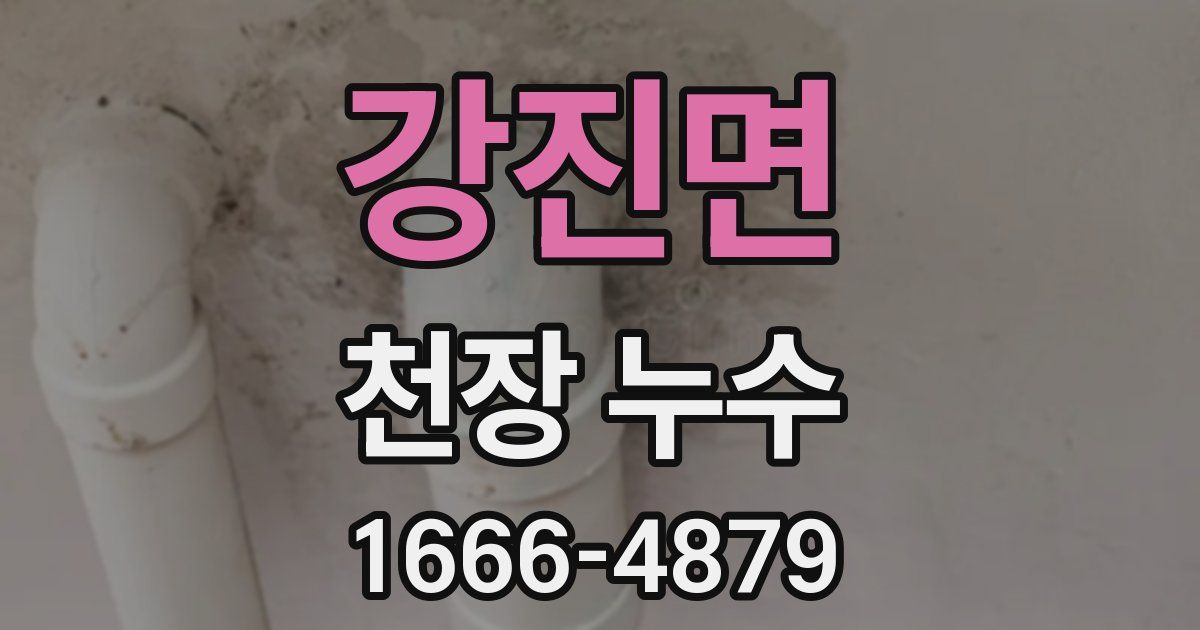 강진면 천장 누수