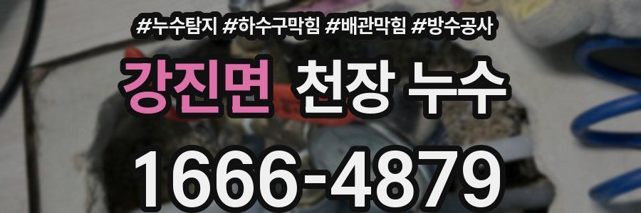 강진면 천장 누수