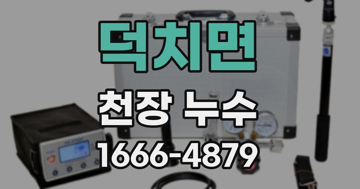 덕치면 천장 누수