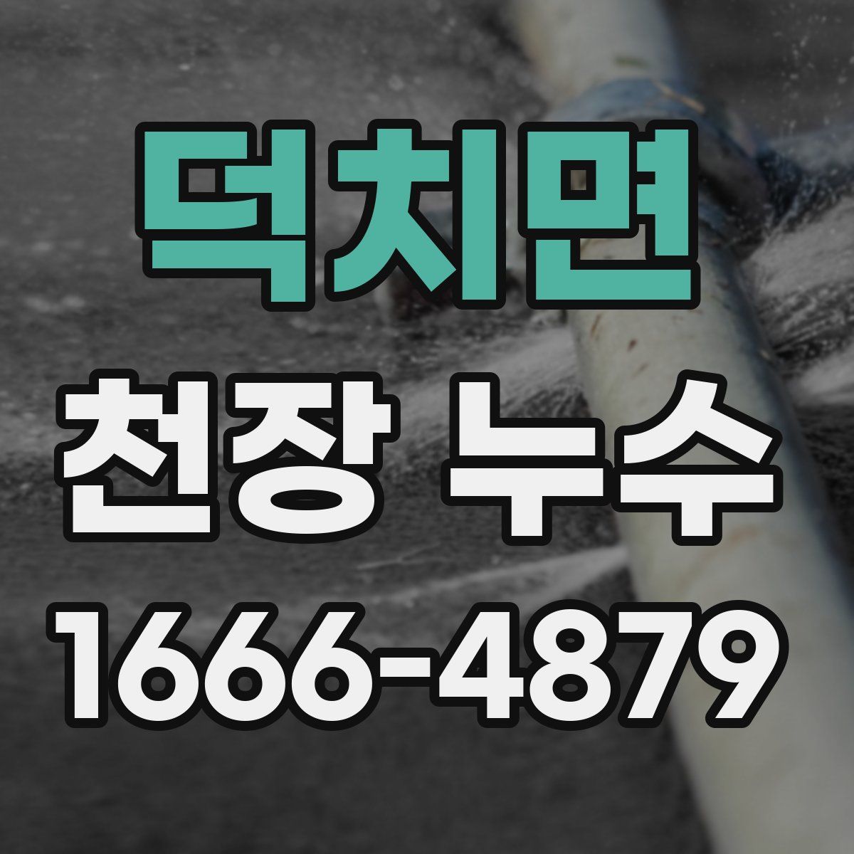 덕치면 천장 누수