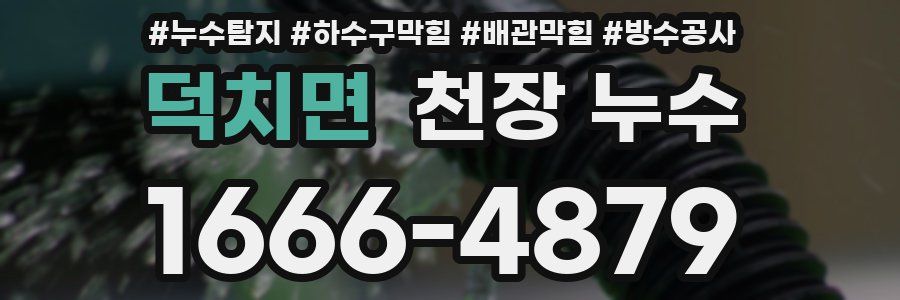 덕치면 천장 누수