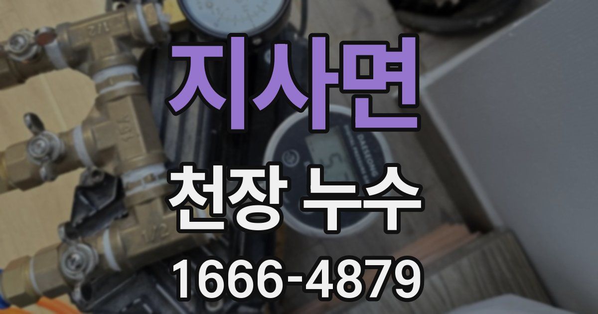 지사면 천장 누수