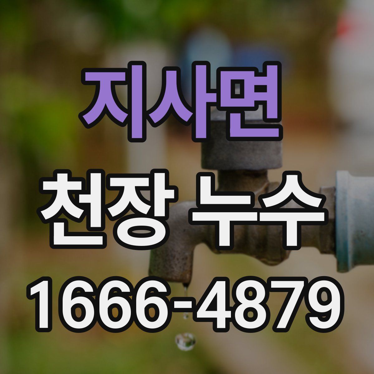 지사면 천장 누수