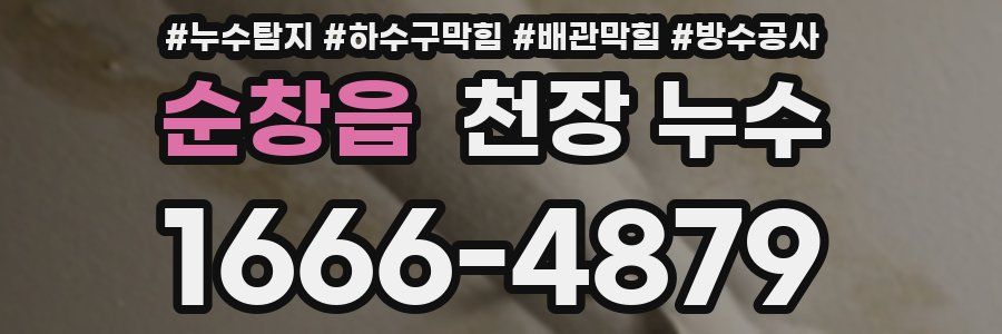순창읍 천장 누수