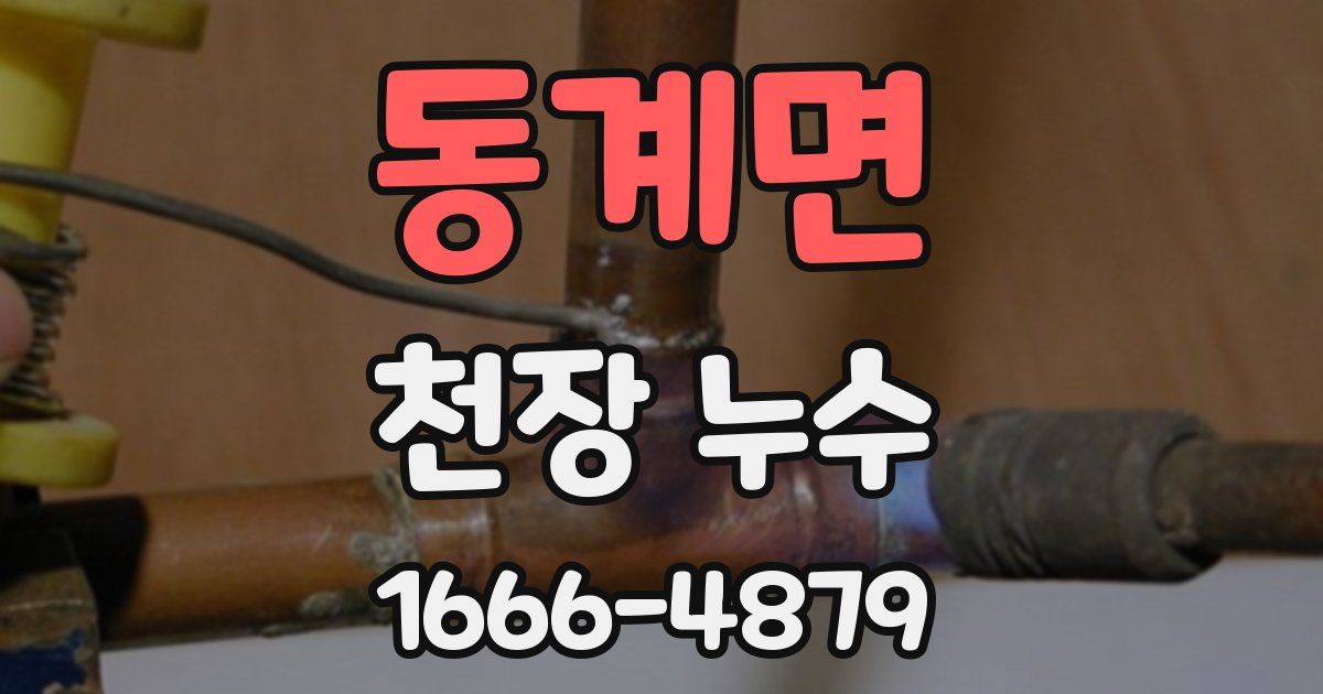 동계면 천장 누수