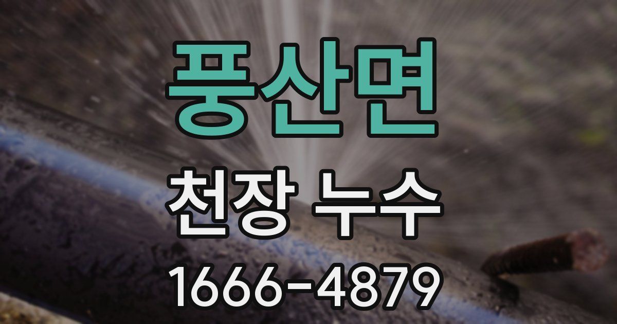 풍산면 천장 누수