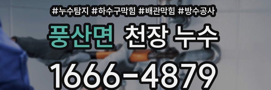 풍산면 천장 누수