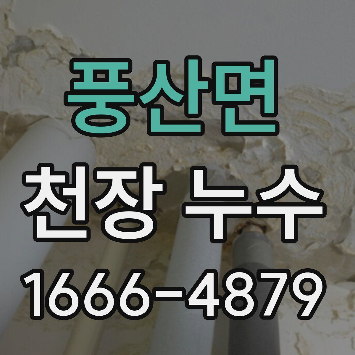 풍산면 천장 누수