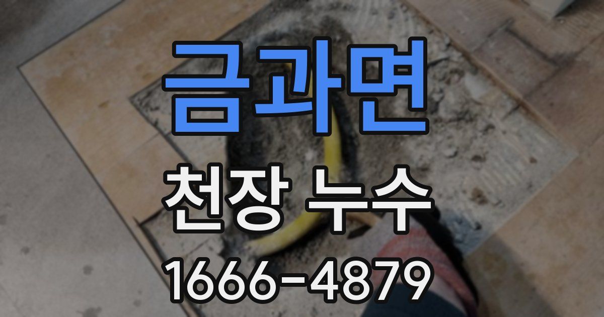 금과면 천장 누수