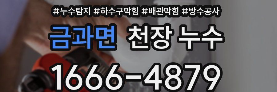 금과면 천장 누수