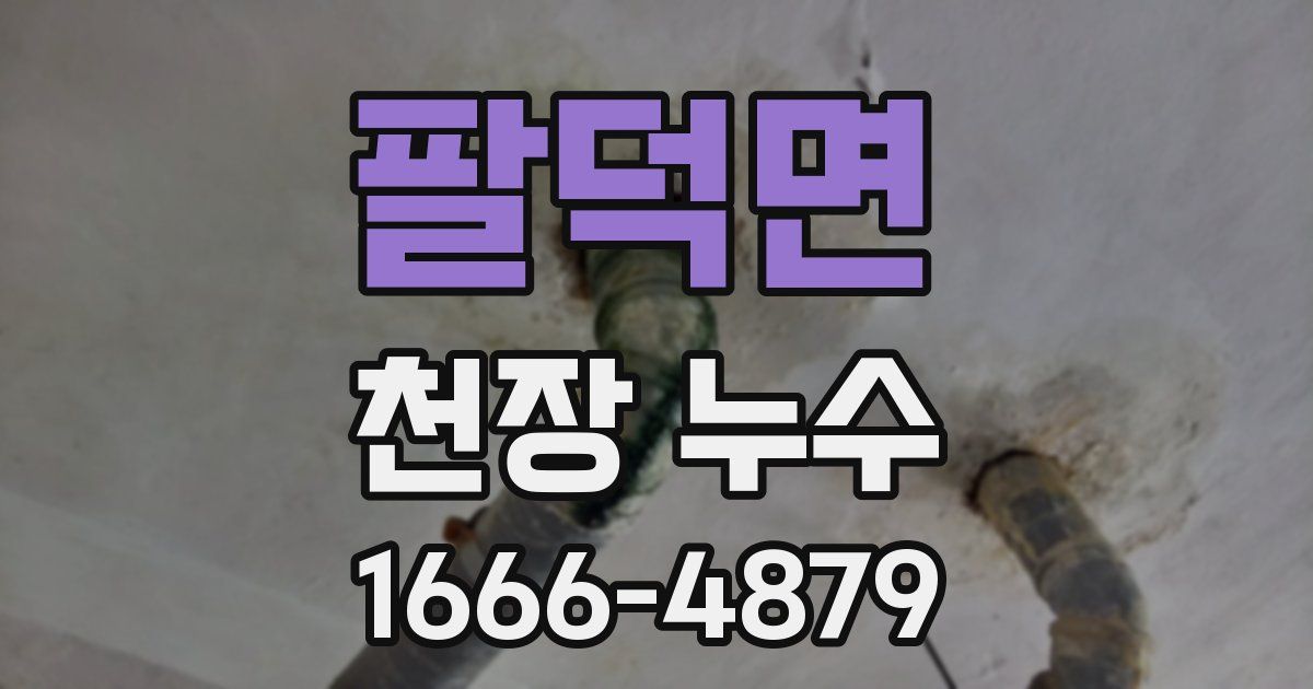 팔덕면 천장 누수