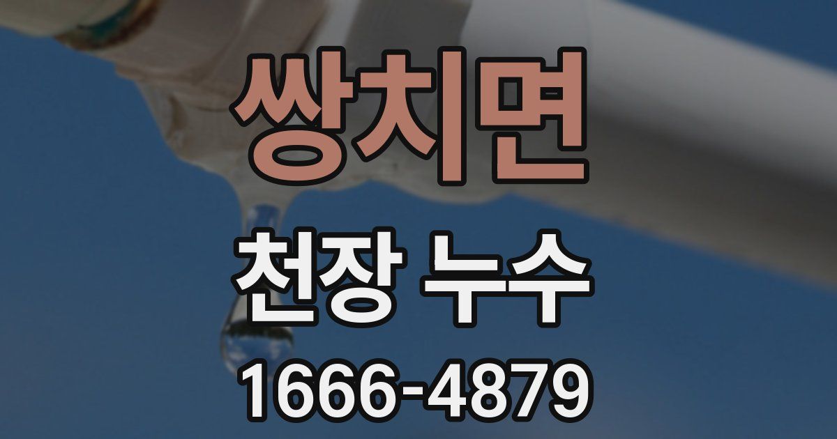 쌍치면 천장 누수
