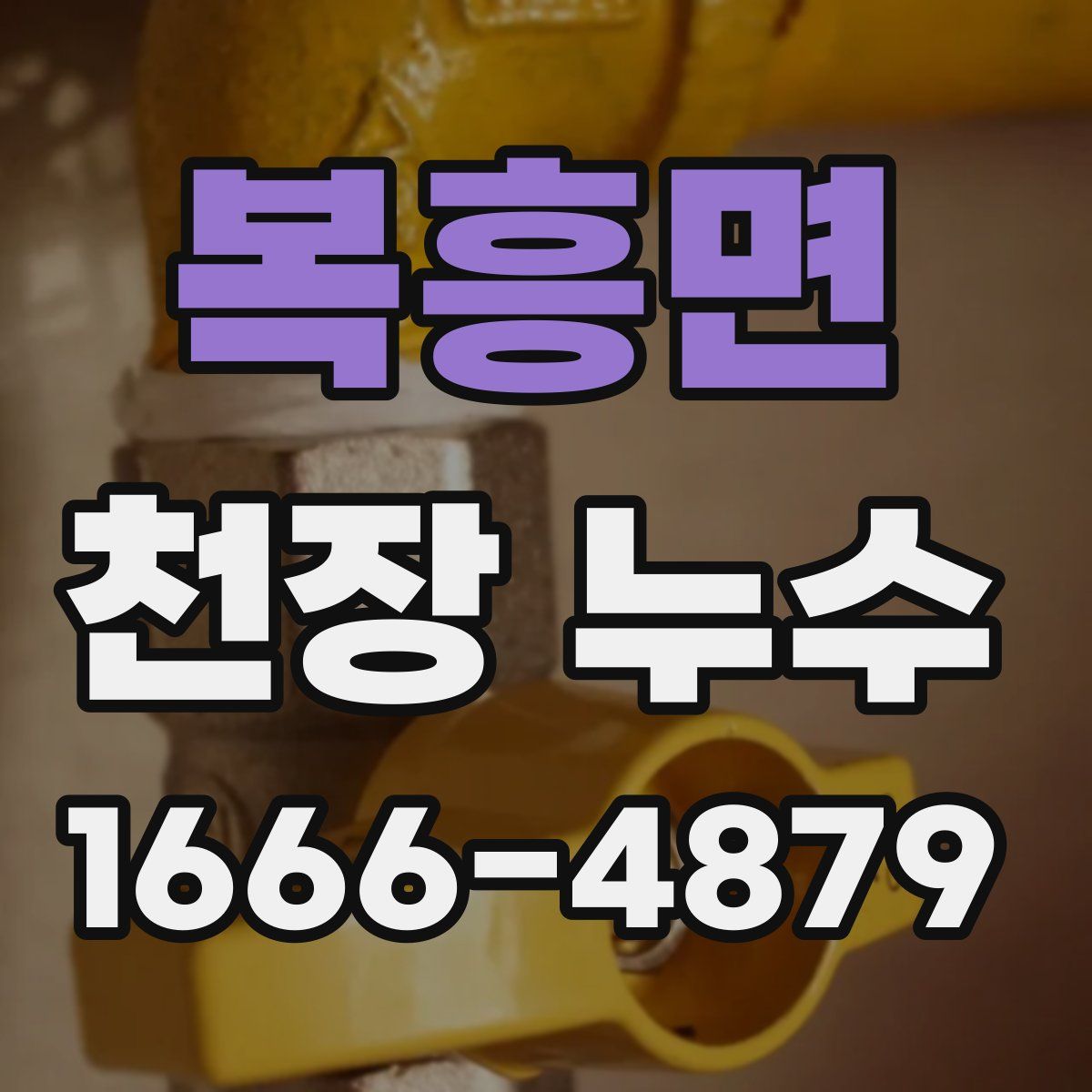 복흥면 천장 누수