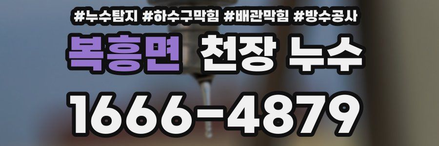 복흥면 천장 누수