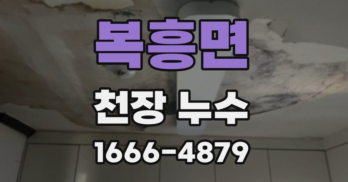 복흥면 천장 누수