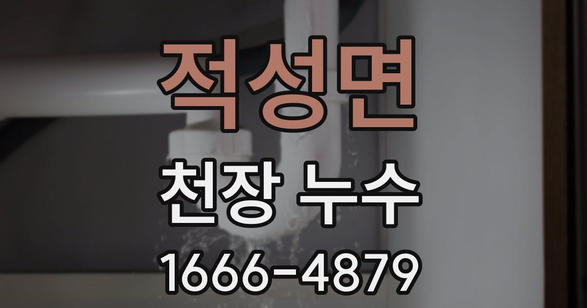 적성면 천장 누수