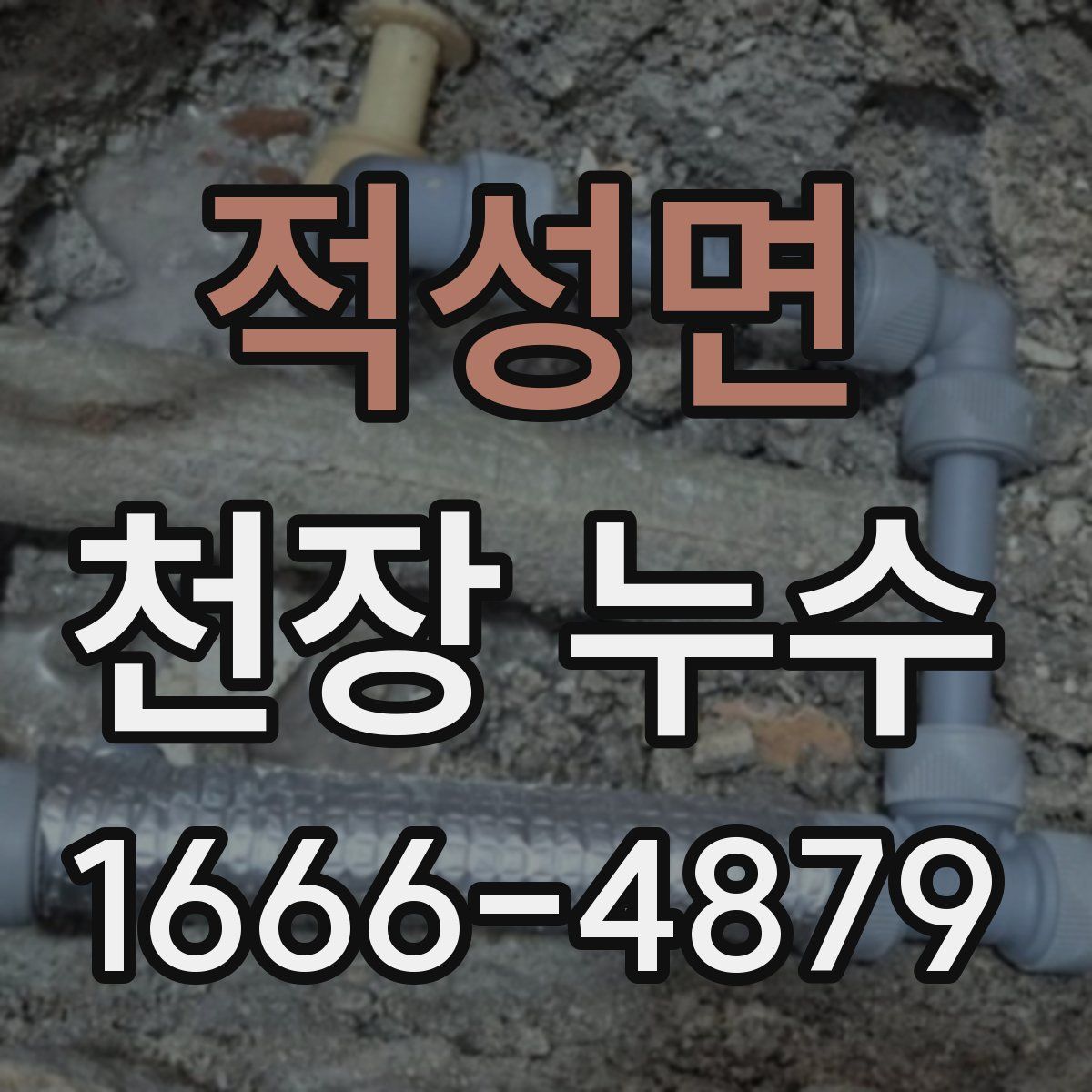 적성면 천장 누수
