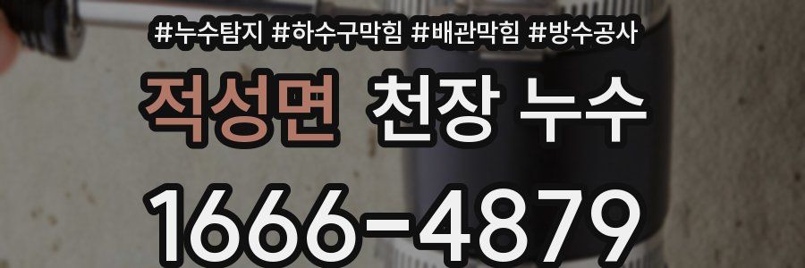 적성면 천장 누수