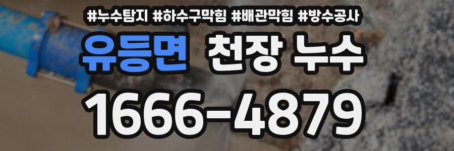 유등면 천장 누수