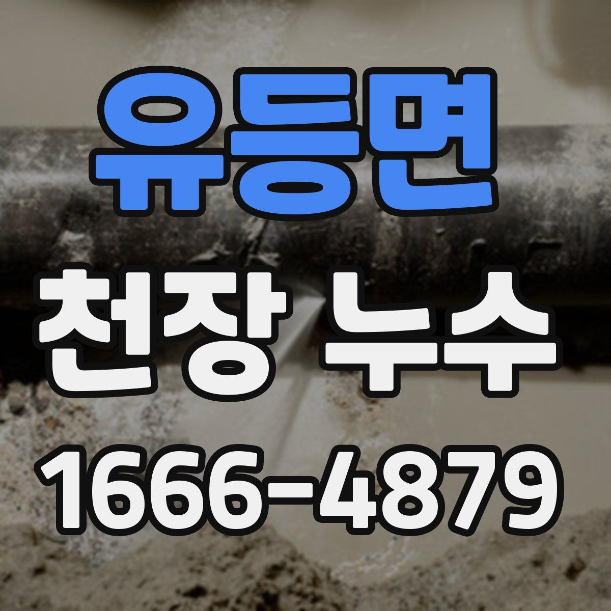 유등면 천장 누수