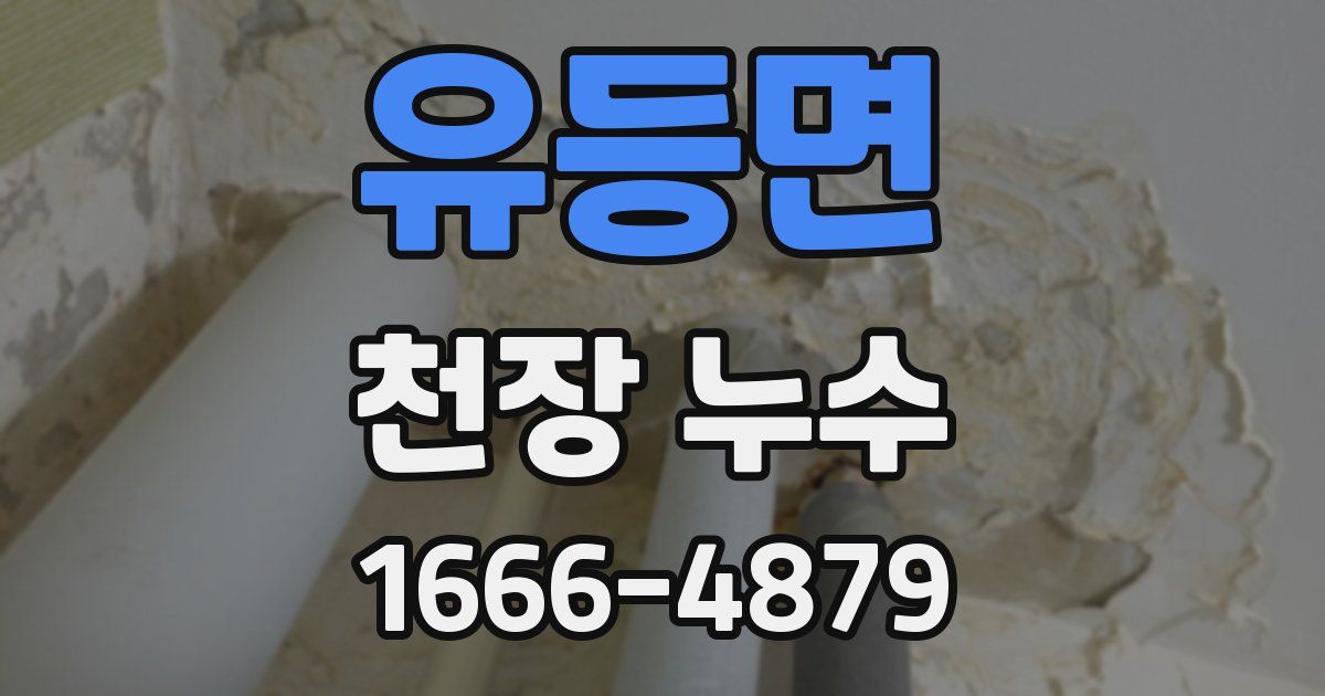 유등면 천장 누수