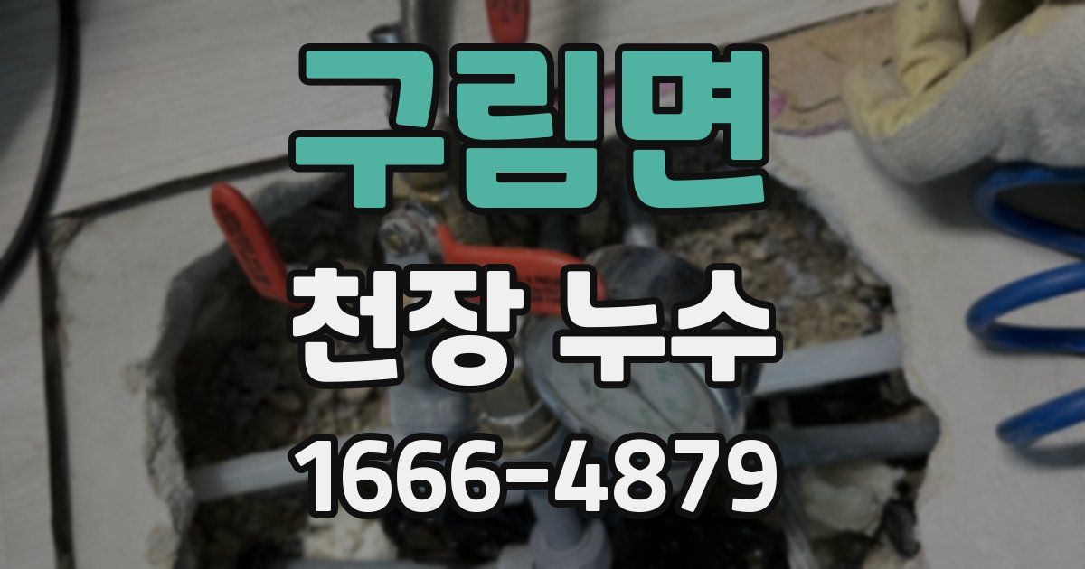 구림면 천장 누수