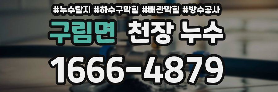 구림면 천장 누수