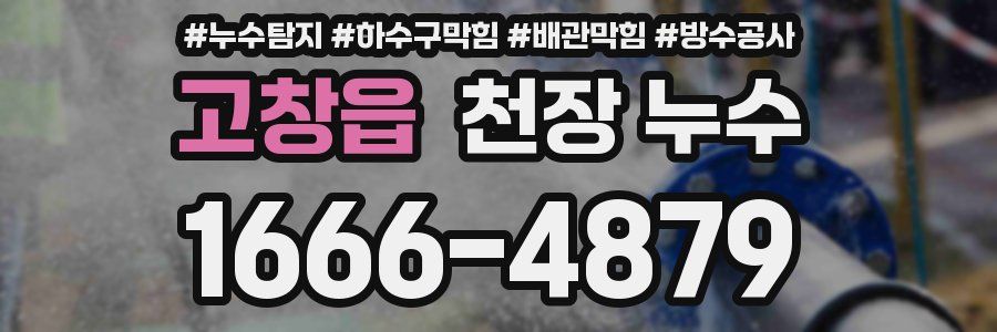 고창읍 천장 누수