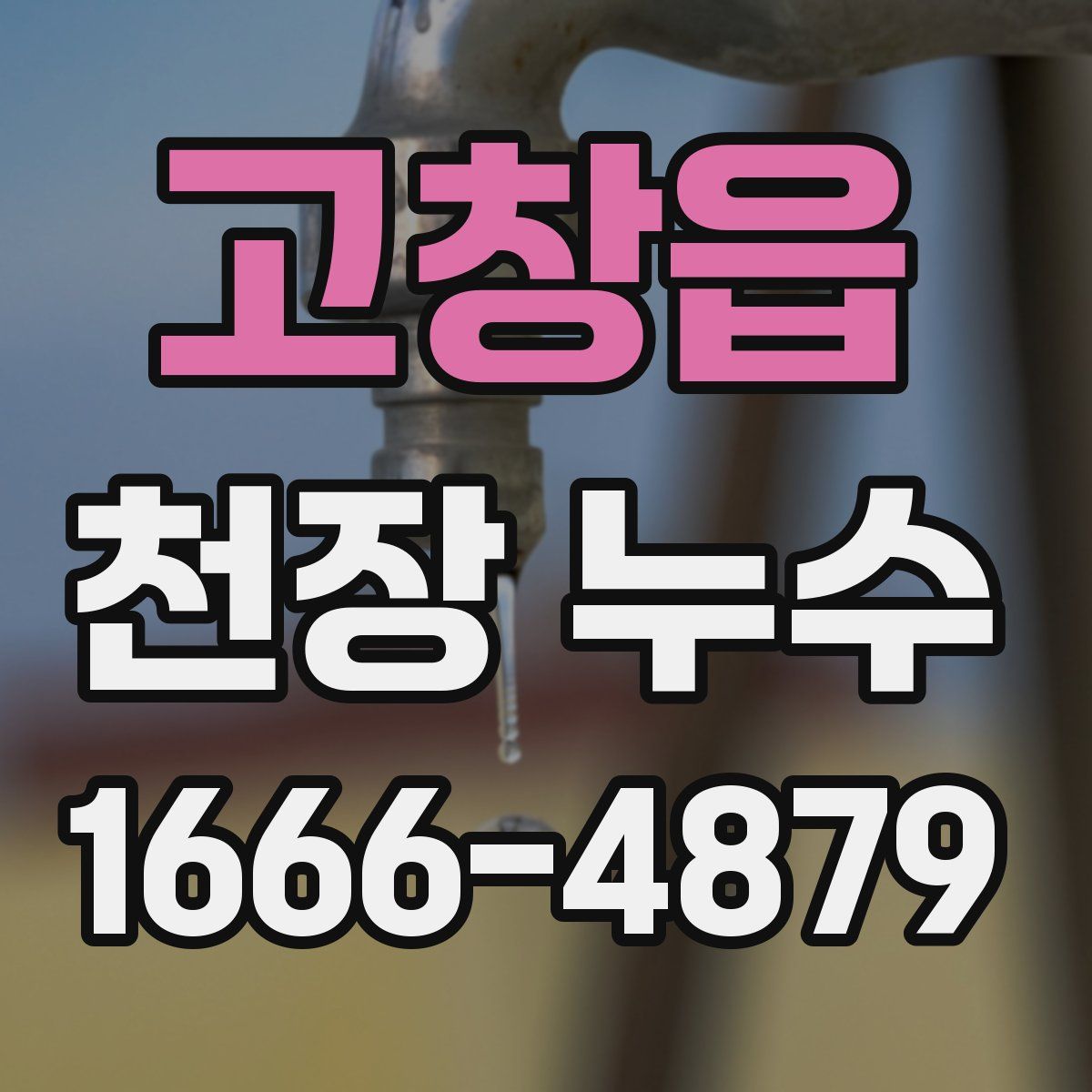 고창읍 천장 누수