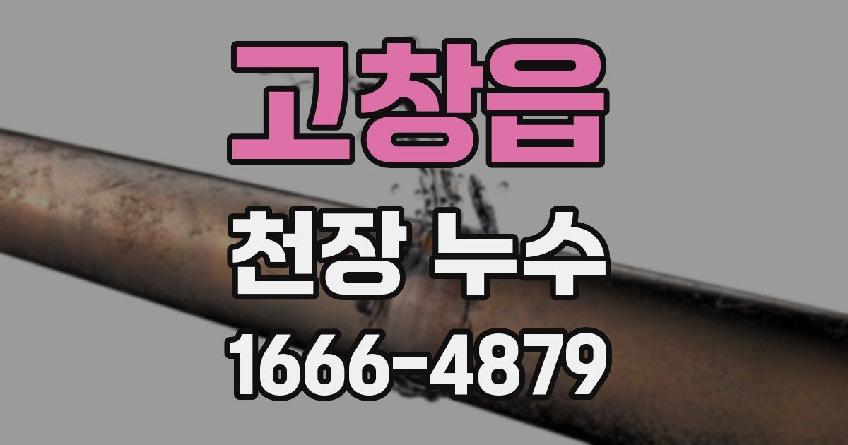 고창읍 천장 누수