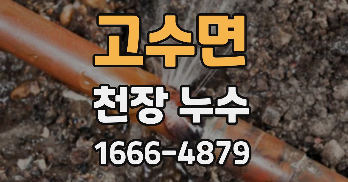 고수면 천장 누수