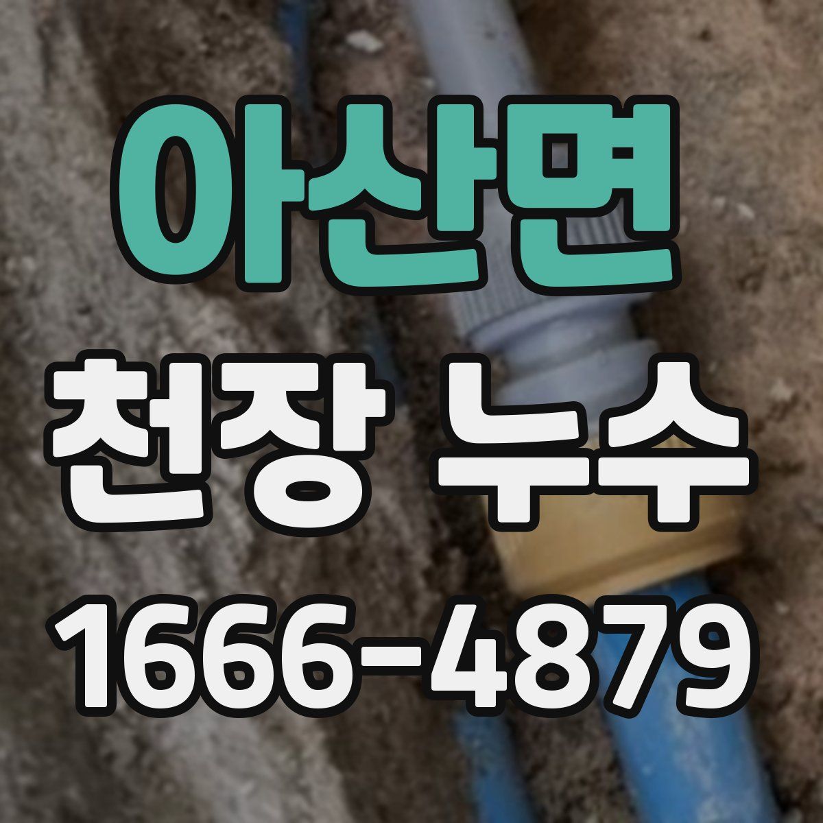 아산면 천장 누수