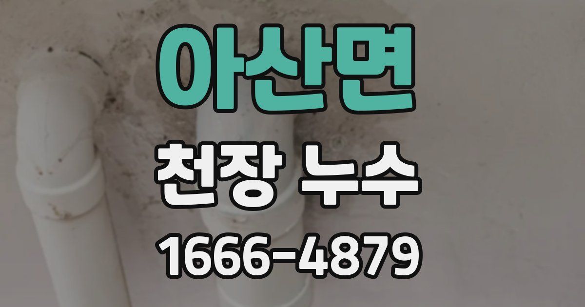 아산면 천장 누수
