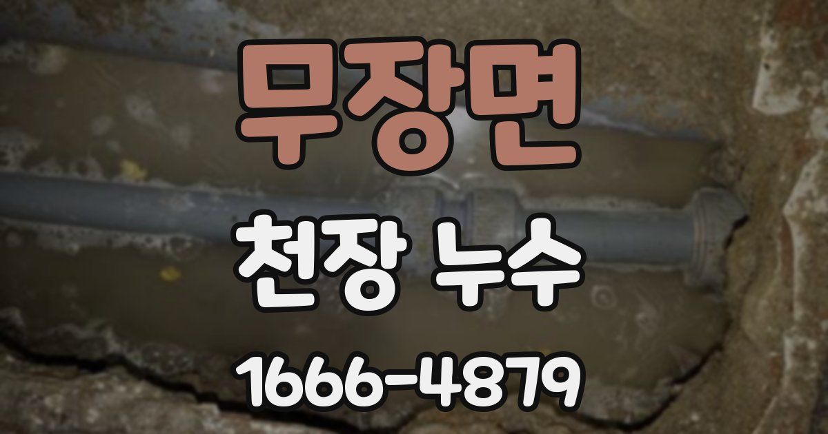 무장면 천장 누수