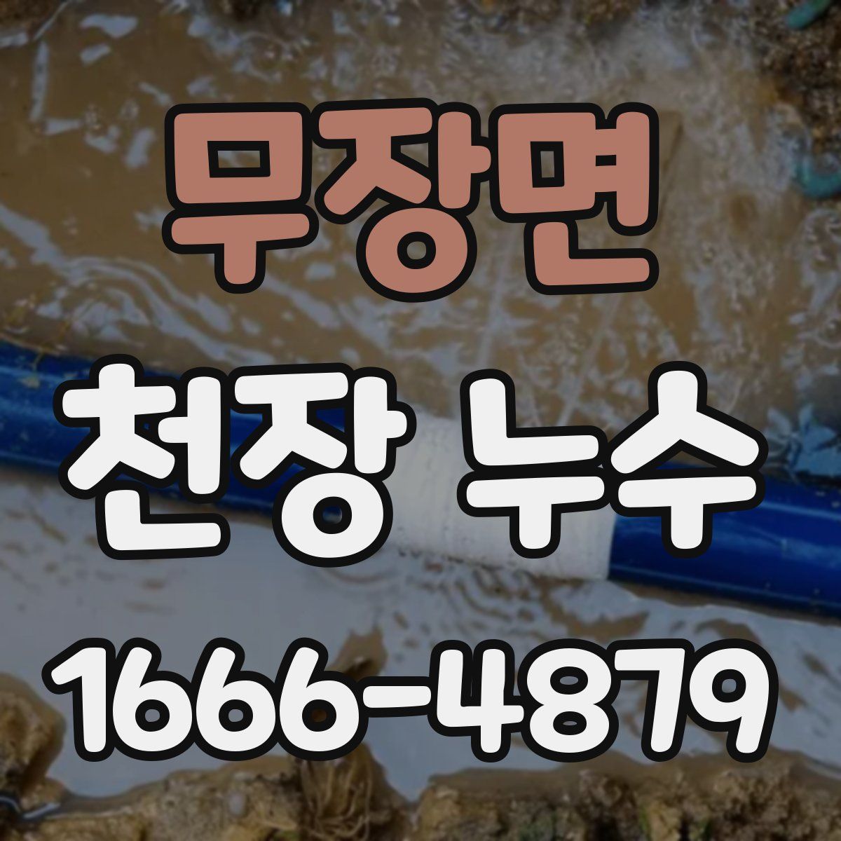 무장면 천장 누수
