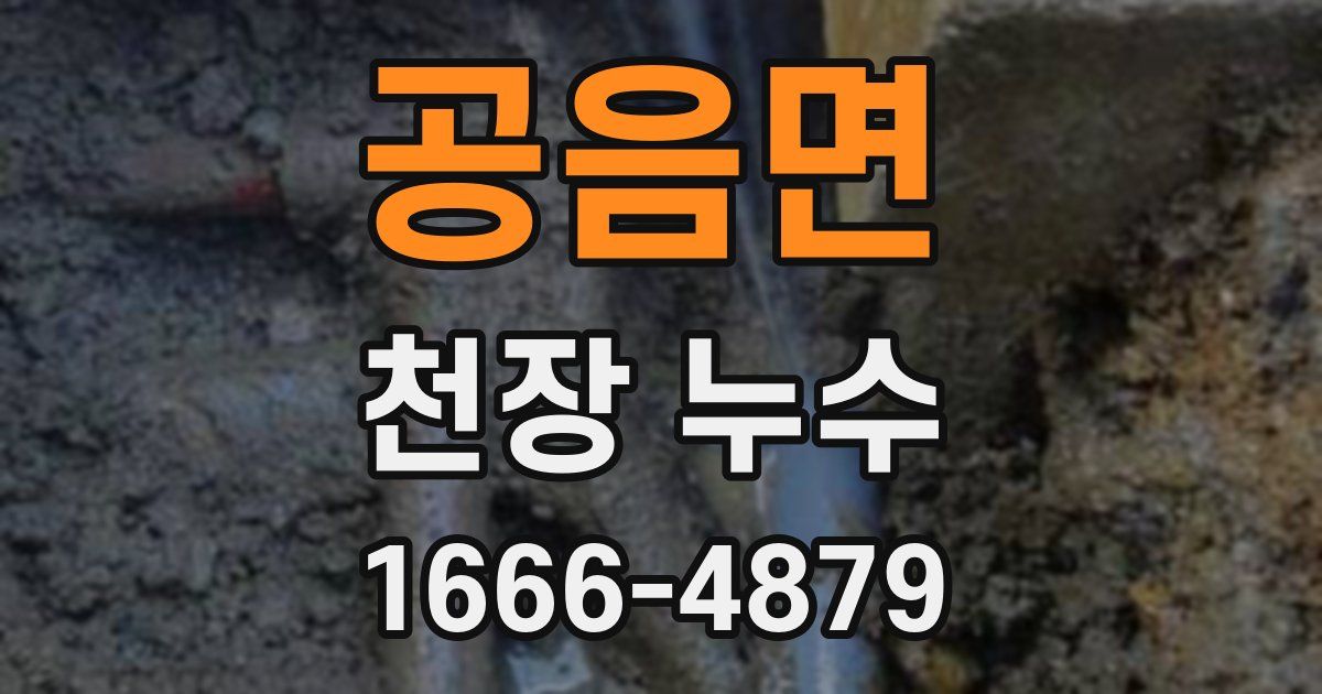 공음면 천장 누수