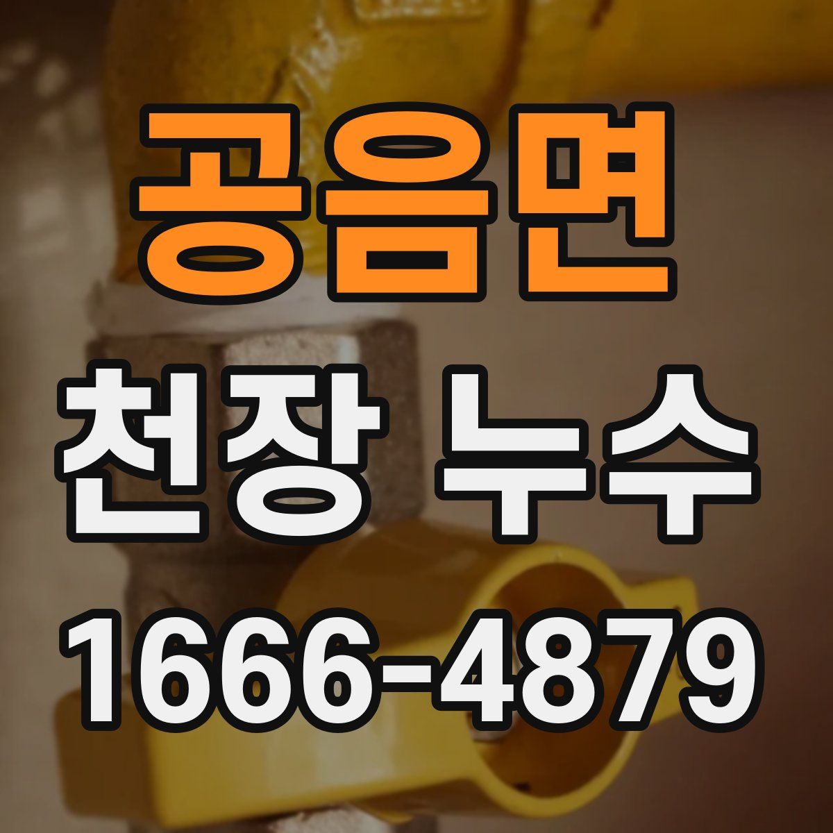 공음면 천장 누수
