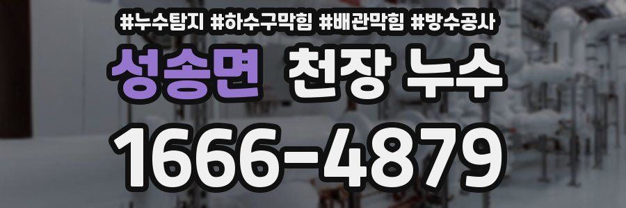 성송면 천장 누수