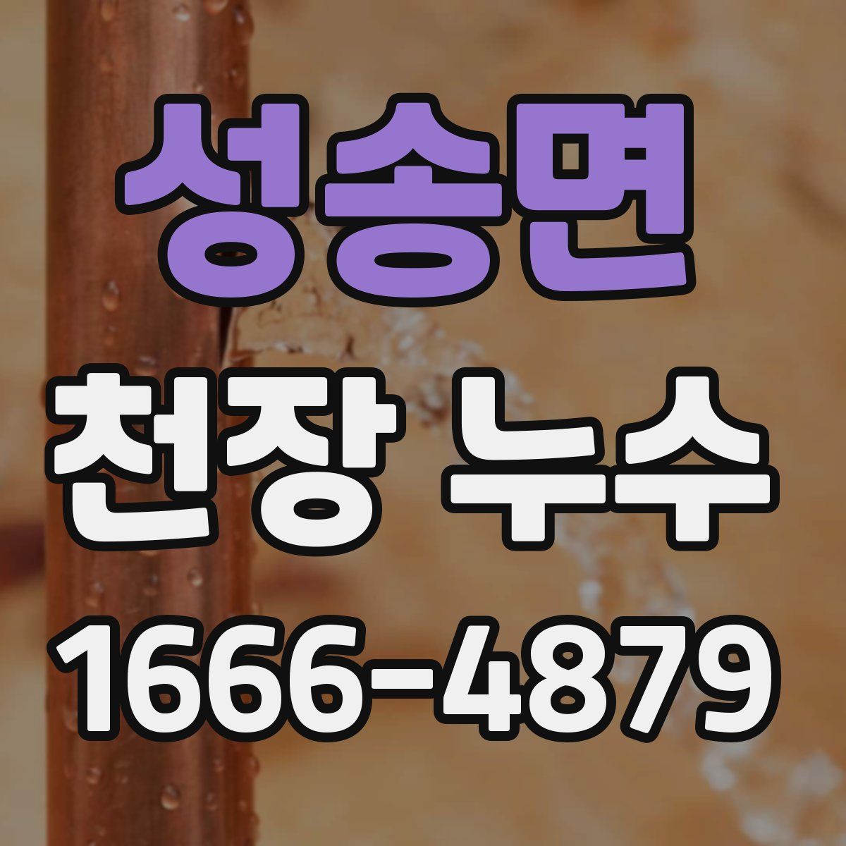 성송면 천장 누수