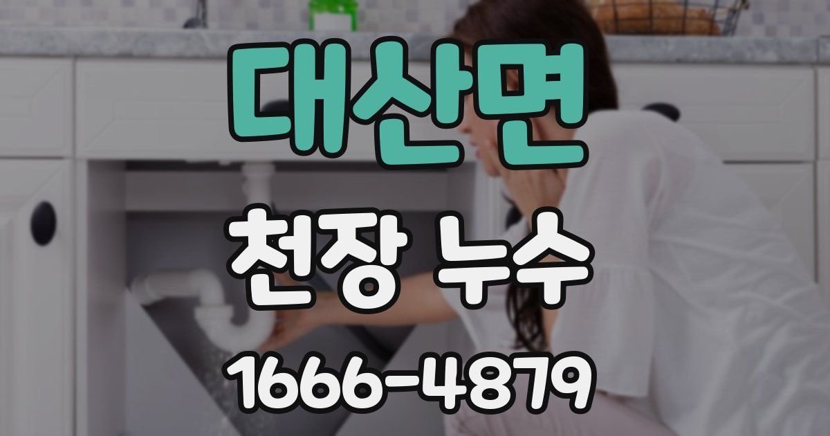 대산면 천장 누수